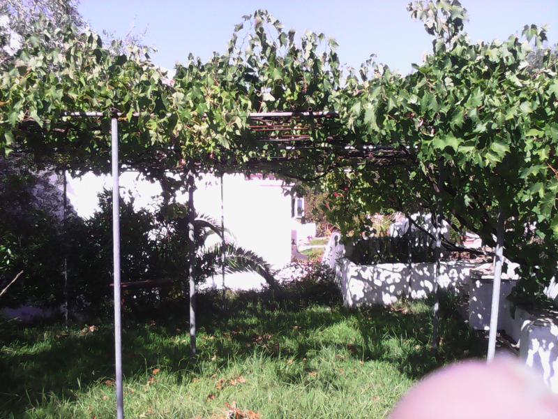 Mesongí Dina'S Rooms المظهر الخارجي الصورة